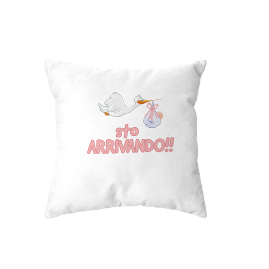 cuscino - sto arrivando bambina