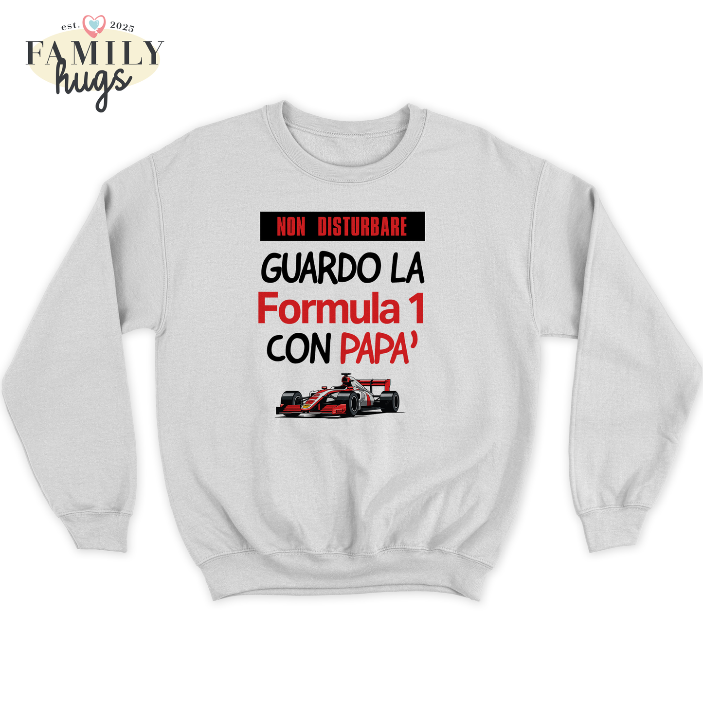felpa bambino -non disturbare guardo la formula 1 con papa