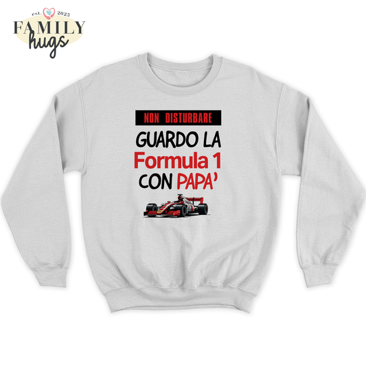felpa bambino -non disturbare guardo la formula 1 con papa